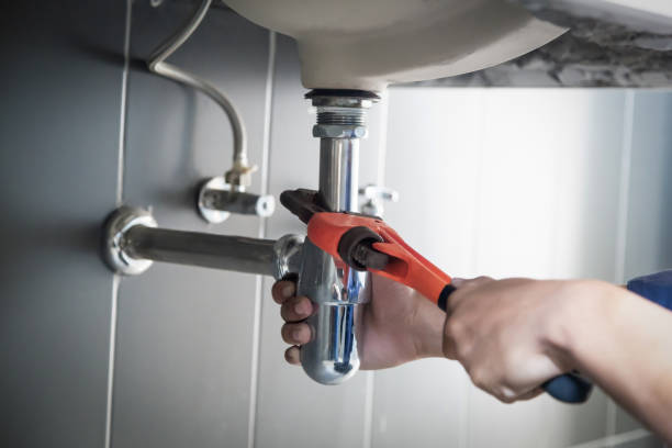 Best Clogged Drain Plumber  in Winfield, IL